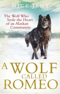 bokomslag A Wolf Called Romeo