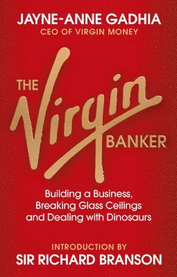 bokomslag Virgin Banker