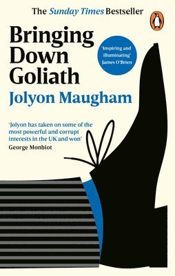 Jolyon Maugham - Bringing Down Goliath, Häftad