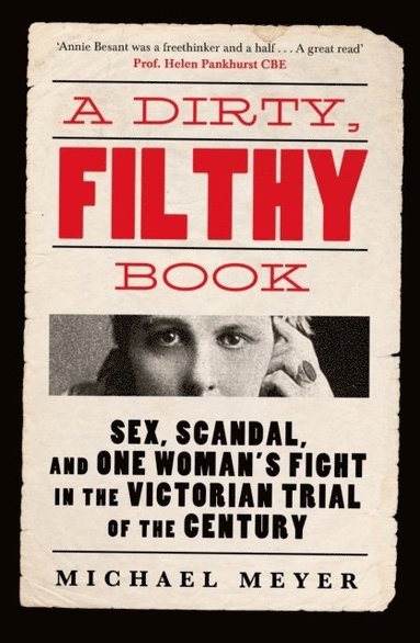 bokomslag Dirty, Filthy Book