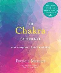 bokomslag The Chakra Experience