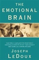 bokomslag The Emotional Brain