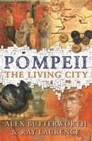 bokomslag Pompeii