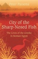 bokomslag City of the Sharp-Nosed Fish