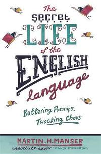 bokomslag The Secret Life of the English Language