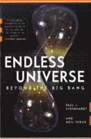 bokomslag Endless Universe