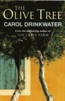 Carol Drinkwater - Olive Tree of Provence, Häftad