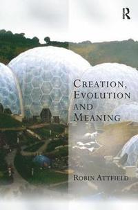 bokomslag Creation, Evolution and Meaning