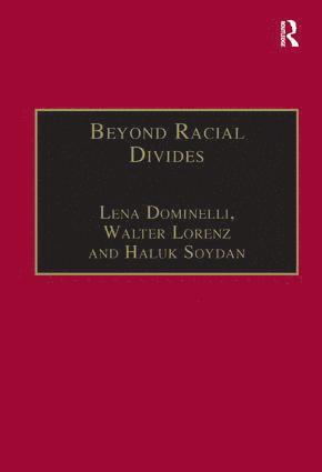 bokomslag Beyond Racial Divides