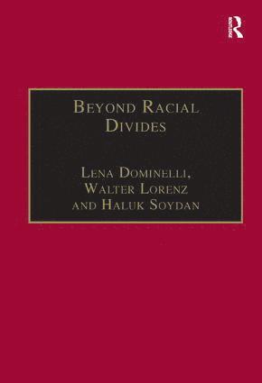 bokomslag Beyond Racial Divides