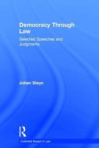 bokomslag Democracy Through Law