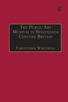 bokomslag Public Art Museum in Nineteenth Century Britain