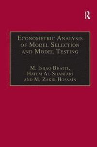 bokomslag Econometric Analysis of Model Selection and Model Testing