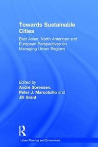 bokomslag Towards Sustainable Cities