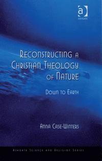 bokomslag Reconstructing a Christian Theology of Nature