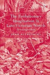 bokomslag The Evolutionary Imagination in Late-Victorian Novels
