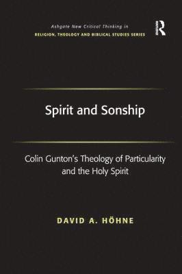 David A. Höhne, David A. Hohne - Spirit and Sonship, Inbunden