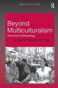 bokomslag Beyond Multiculturalism