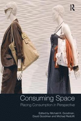 Michael K. Goodman, David Goodman - Consuming Space, Inbunden