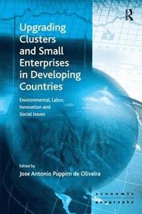 bokomslag Upgrading Clusters and Small Enterprises in Developing Countries