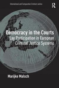 bokomslag Democracy in the Courts