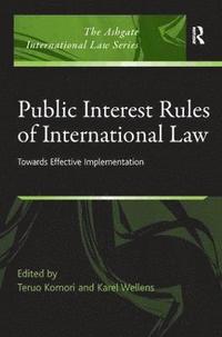 bokomslag Public Interest Rules of International Law