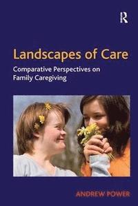 bokomslag Landscapes of Care
