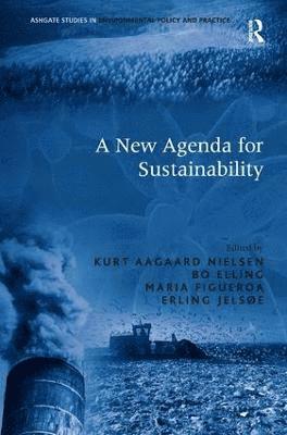 A New Agenda for Sustainability 1