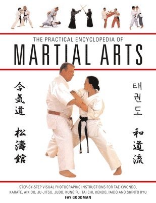 bokomslag Practical Encyclopedia of Martial Arts