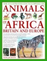 bokomslag Illustrated Encyclopedia of Animals of Africa, Britain and Europe