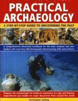 bokomslag Practical Archaeology