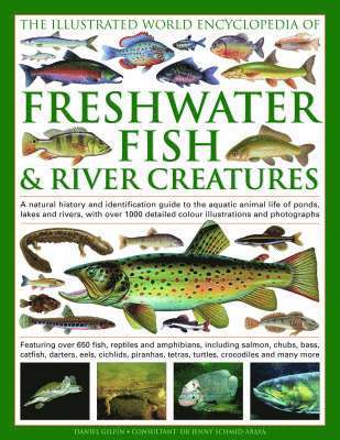 bokomslag Illustrated World Encyclopedia of Freshwater Fish and River Creatures