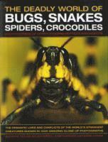 Barbara Taylor, Jen Green, John Farndon, Mark O'Shea - Deadly World of Bugs, Snakes, Spiders, Crocodiles and Hundreds of Other Amazing Reptiles and Insects, Inbunden