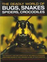 The Deadly World of Bugs, Snakes, Spiders, Crocodiles and Hundreds of Other Amazing Reptiles and Insects 1