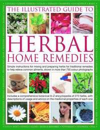 bokomslag Illustrated Guide to Herbal Home Remedies