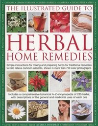 bokomslag Illustrated Guide to Herbal Home Remedies