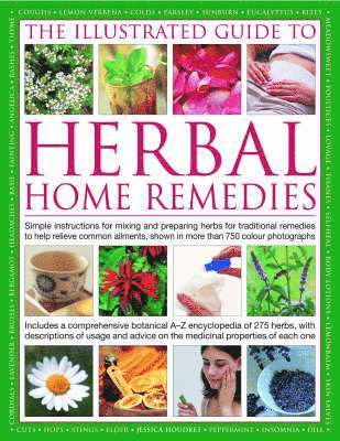 bokomslag The Illustrated Guide to Herbal Home Remedies