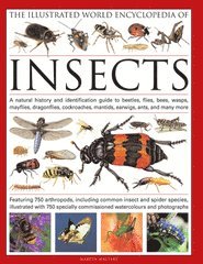 Martin Walters - Illustrated World Encyclopaedia of Insects, Inbunden