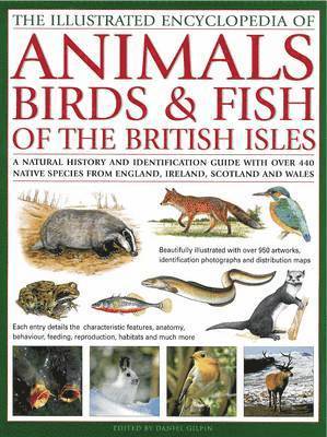 bokomslag Illustrated Encyclopedia of Animals, Birds and Fish of the British Isles