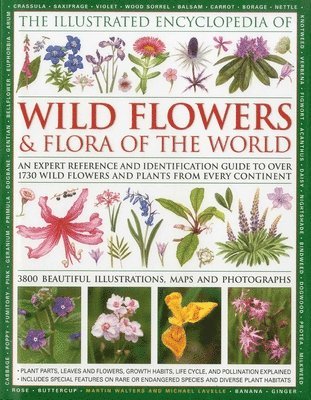 Martin Walters, Michael Lavelle - Illustrated Encyclopedia of Wild Flowers & Flora of the World, Inbunden