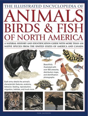 bokomslag Illustrated Encyclopedia of Animals, Birds and Fish of North America