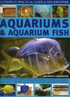 bokomslag Aquariums and Aquarium Fish