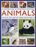 bokomslag Masterclass in Drawing & Painting Animals