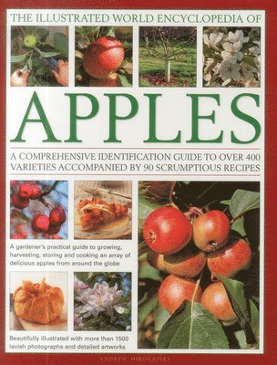 bokomslag Illustrated World Encyclopedia of Apples