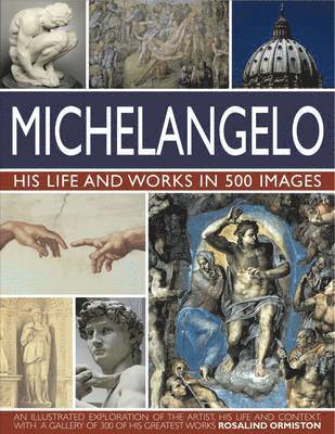 bokomslag Michelangelo: His Life & Works In 500 Images