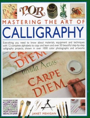 Mastering the Art of Calligraphy 1