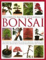 bokomslag Complete Practical Encyclopedia of Bonsai