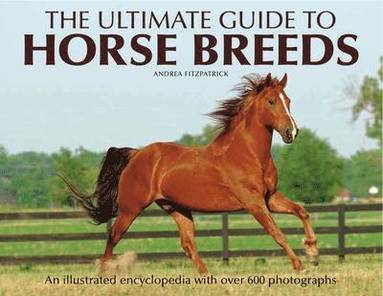 bokomslag Ultimate Guide to Horse Breeds