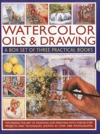 bokomslag Watercolour, Oil and Drawing