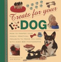 bokomslag Treats for Your Dog